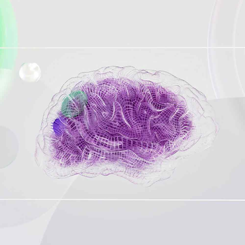 inner_image_02 https://capital.kuinji.com/wp-content/uploads/2023/11/inner_image_02.jpg